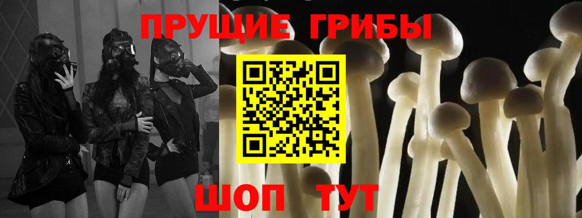 Псилоцибиновые грибы MAGIC MUSHROOMS  цены   Медногорск  Вход с VPN 